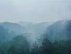 开云在线-w瞫?3仚i?4J漜睭J岫#?x